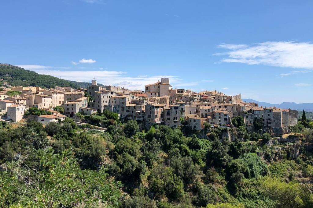 Appartement Au Calme Dans Un Espace Arbore Tourrettes-sur-Loup Exteriér fotografie